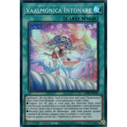 VASM-FR038 Vaalmonica Intonare Super Rare