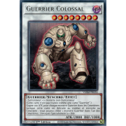 VASM-FR054 Guerrier Colossal Rare