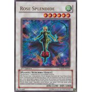 TSHD-FR043 Rose Splendide Ultra Rare