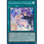 VASM-EN037 Vaalmonica Versare Super Rare