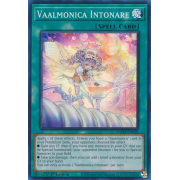 VASM-EN038 Vaalmonica Intonare Super Rare