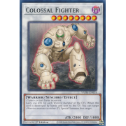 VASM-EN054 Colossal Fighter Rare