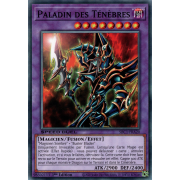 SBC1-FRA20 Paladin des Ténèbres Commune