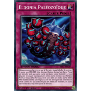 SBC1-FRC20 Eldonia Paléozoïque Commune