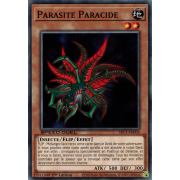 SBC1-FRD02 Parasite Paracide Commune