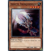 SBC1-FRD03 Insecte Tronçonneuse Commune