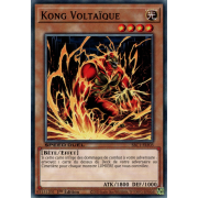 SBC1-FRF03 Kong Voltaïque Commune