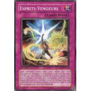 TSHD-FR073 Esprits Vengeurs Commune