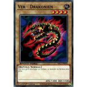 SBC1-FRH04 Ver Drakonien Commune