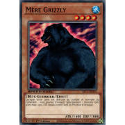 SBC1-FRH10 Mère Grizzly Commune