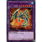 SBC1-FRH19 Ver Drakonien Humanoïde Commune