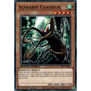 SBC1-FRI04 Scarabée Chasseur Commune