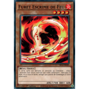 SR14-FR020 Furet Escrime de Feu Commune