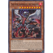 SR14-EN012 True King Agnimazud, the Vanisher Commune