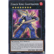 SR14-EN041 Coach King Giantrainer Commune