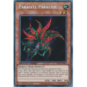 SBC1-END02 Parasite Paracide Commune