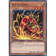 SBC1-ENF03 Voltic Kong Commune