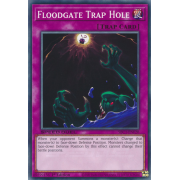 SBC1-ENF20 Floodgate Trap Hole Commune