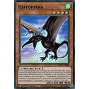 MZMI-FR012 Kaitoptera Super Rare