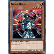 STAX-FR011 Ninja Blanc Commune