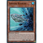 PHNI-FR007 Sardine Blanche Super Rare