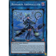 PHNI-FR050 Romarin Arômalilith Super Rare