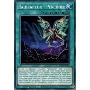 PHNI-FR057 Raidraptor - Perchoir Commune