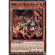 PHNI-FR085 Nuée de Mille-Pattes Commune