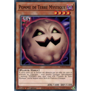PHNI-FR098 Pomme de Terre Mystique Commune