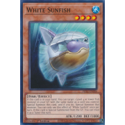 PHNI-EN006 White Sunfish Commune