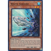 PHNI-EN007 White Sardine Super Rare
