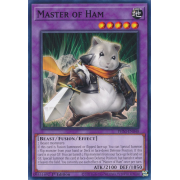 PHNI-EN040 Master of Ham Commune