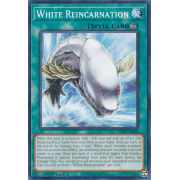 PHNI-EN058 White Reincarnation Commune