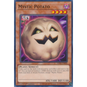 PHNI-EN098 Mystic Potato Commune