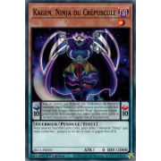 BLC1-FR050 Kagen, Ninja du Crépuscule Commune