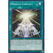 BLC1-EN075 Miracle Contact Commune