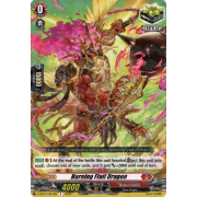 D-SS12/091EN Burning Flail Dragon Rare (R)