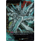 D-SS12/SIR13EN Apex Ruler, Bastion Special Illust Rare (SIR)