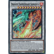 LEDE-FR040 Dragion Transcendant Sangenpai Super Rare