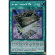 LEDE-FR051 Sarcophage Brillant Secret Rare