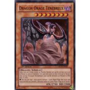 ORCS-FR037 Dragon Orage Ténébreux Super Rare