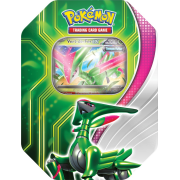 Pokébox Vert-de-Fer ex