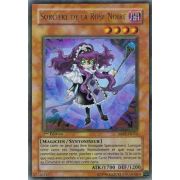 ABPF-FR012 Sorcière de la Rose Noire Ultra Rare