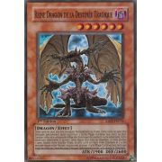 ABPF-FR014 Reine Dragon de la Destinée Tragique Super Rare