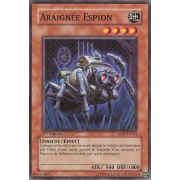 ABPF-FR024 Araignée Espion Commune