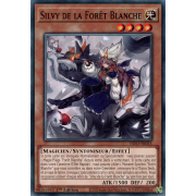 INFO-FR015 Silvy de la Forêt Blanche Commune