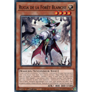 INFO-FR016 Rucia de la Forêt Blanche Commune