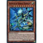INFO-FR023 Seigneur du Barrou Manquant Super Rare