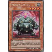 ABPF-FR084 Videur Cactus Secret Rare