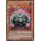 ABPF-FR084 Videur Cactus Secret Rare